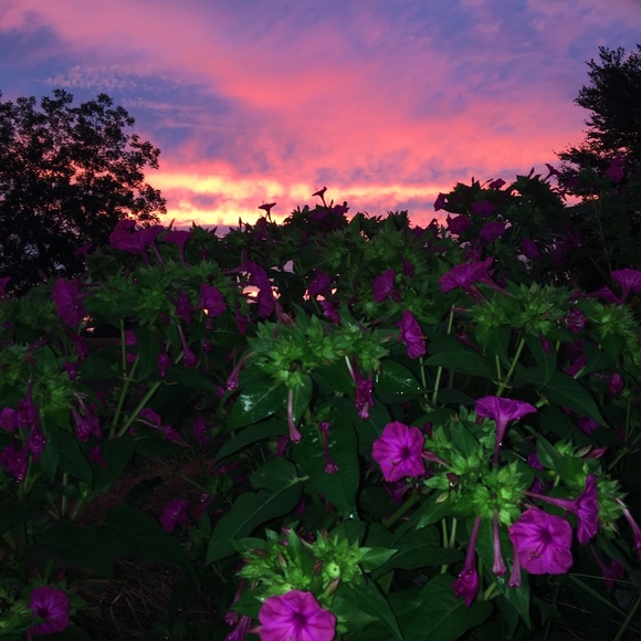 Meet your Posher, Caroline - Picture 1 of 1